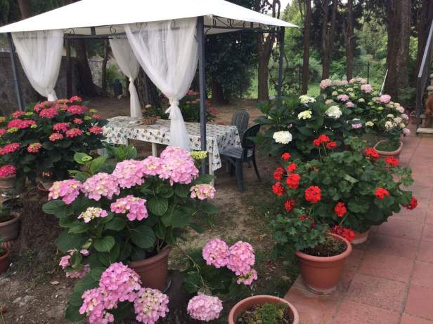 received_956713671094884