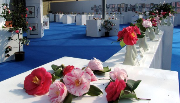 mostra scientifica al centro culturale compitese