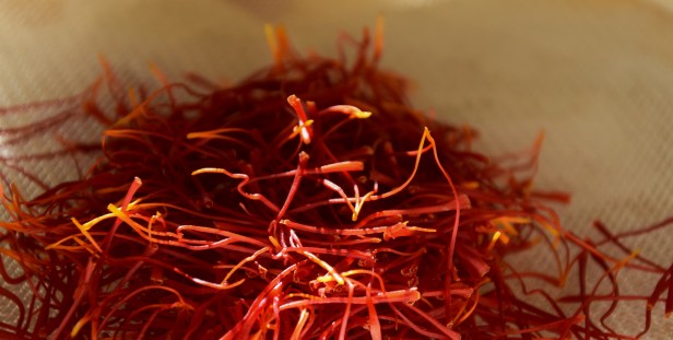 saffron 4