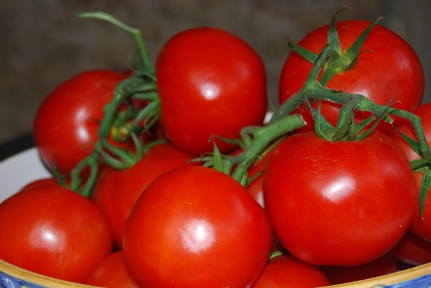 Italian Tomatoes