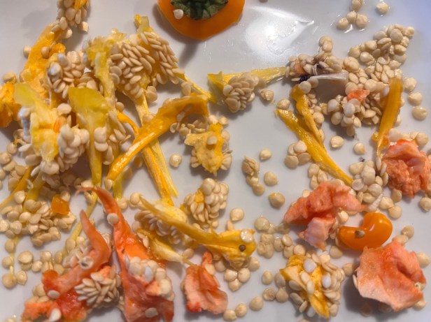 Farfalle /bowties with  mini sweet bell peppers.So nice for the buds and for the eyes.